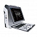 SIUI Apogee 1100